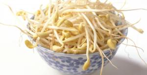 Raw Bean sprouts